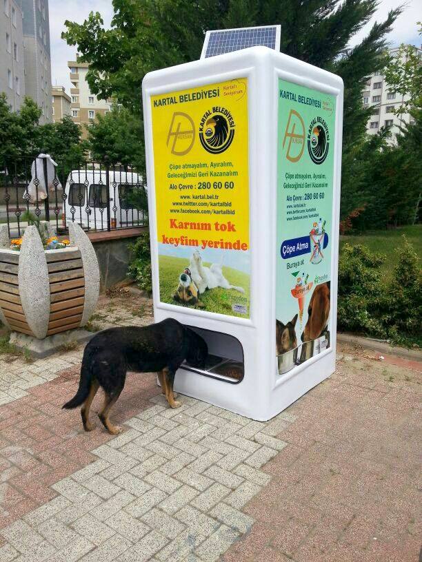 Feed stray dogs by recycling?! Now there’s a win-win!