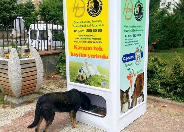 Feed stray dogs by recycling?! Now there's a win-win!