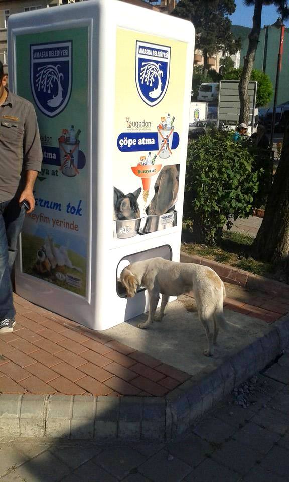 Kibbles are dispensed as soon as you deposit the bottle