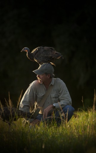 Nature: My Life as a Turkey