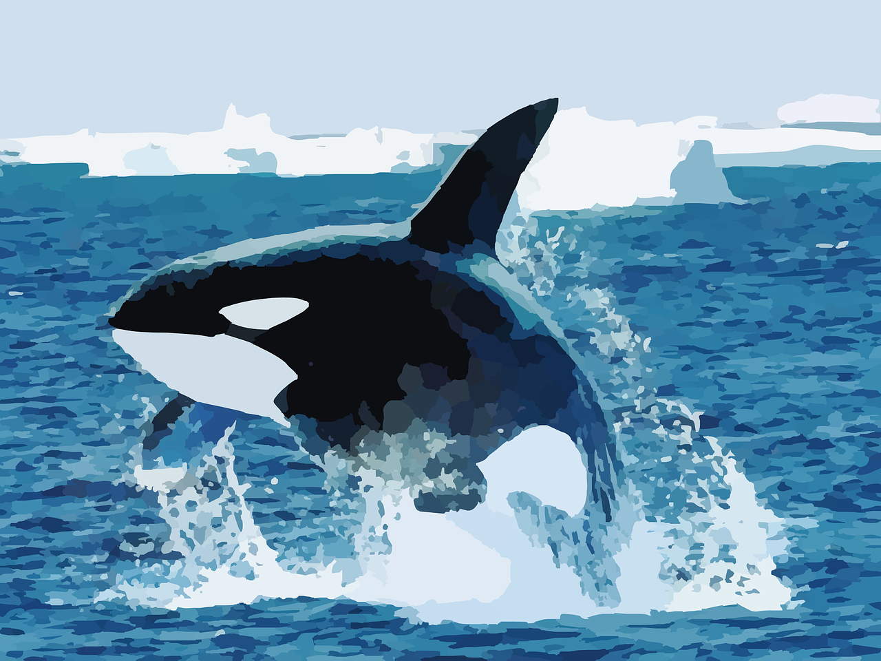 The Orca Awareness Project