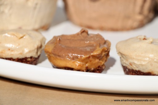 Chocolate filling & peanut butter on chocolate crumb crust