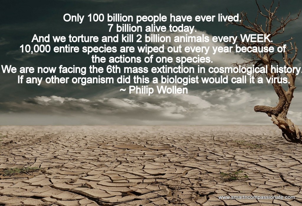 Only 100 billion people have ever lived. 7 billion alive today. And we torture and kill 2 billion animals every week. 10,000 entire species are wiped out every year because of the actions of one species. We are now facing the 6th mass extinction in cosmological history. If any other organism did this a biologist would call it a virus.~ Philip Wollen