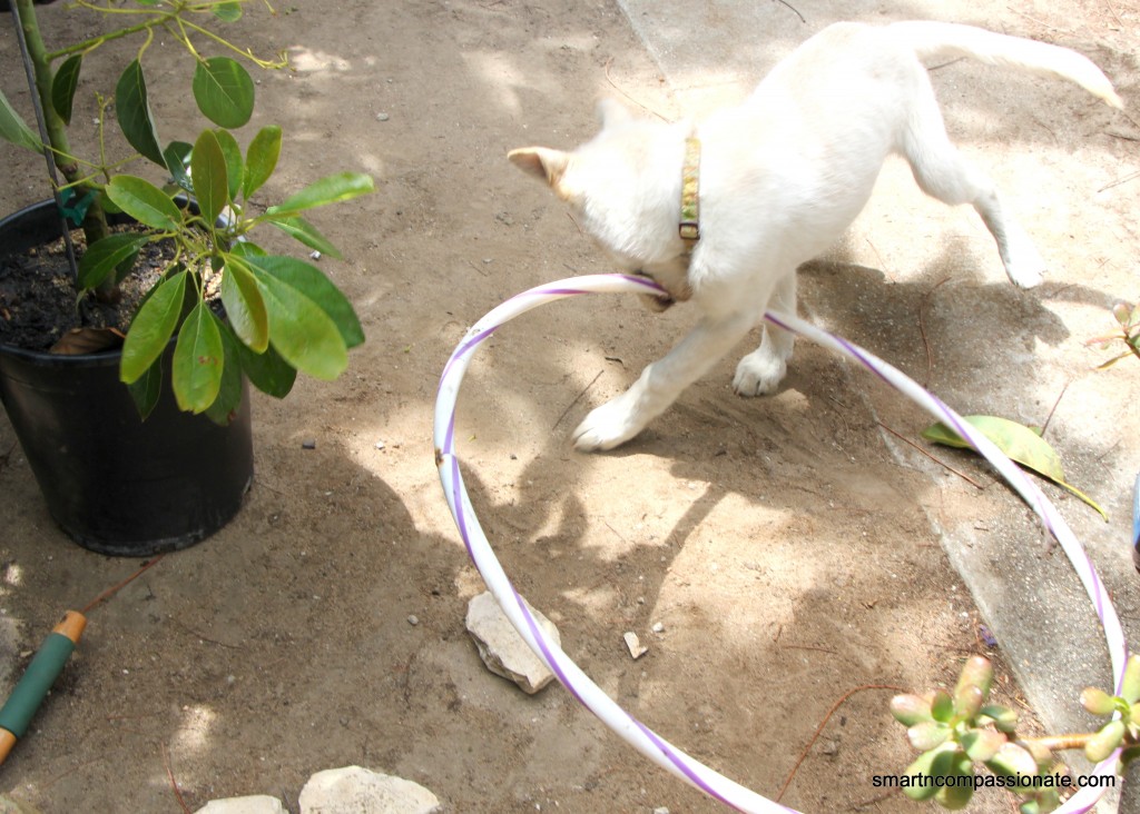 Hula hoop time!