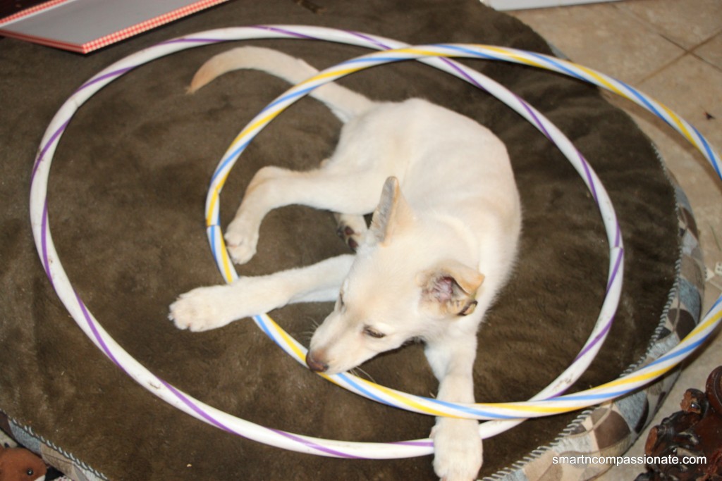 He loves hula hoops and wants to keep them all to himself