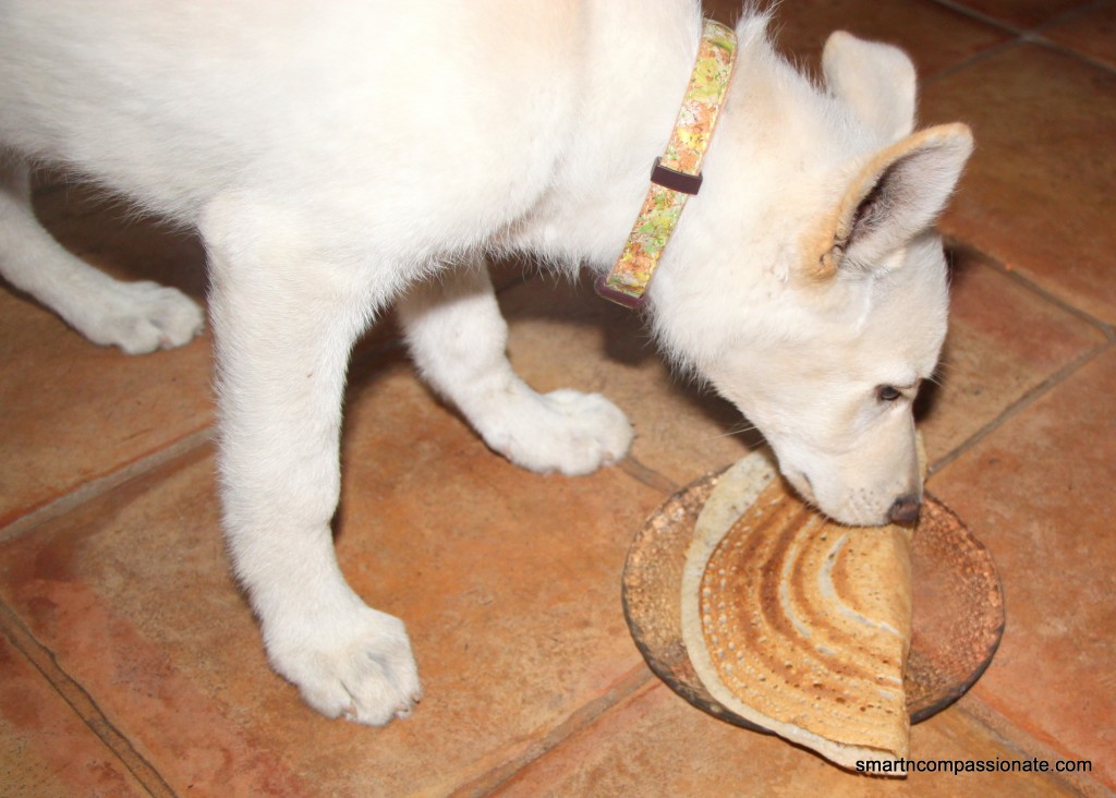 He LOVES dosa