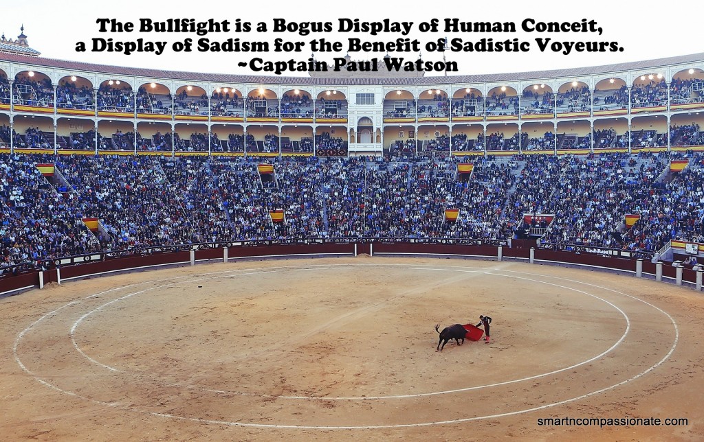 bullfight-406865_1920-001