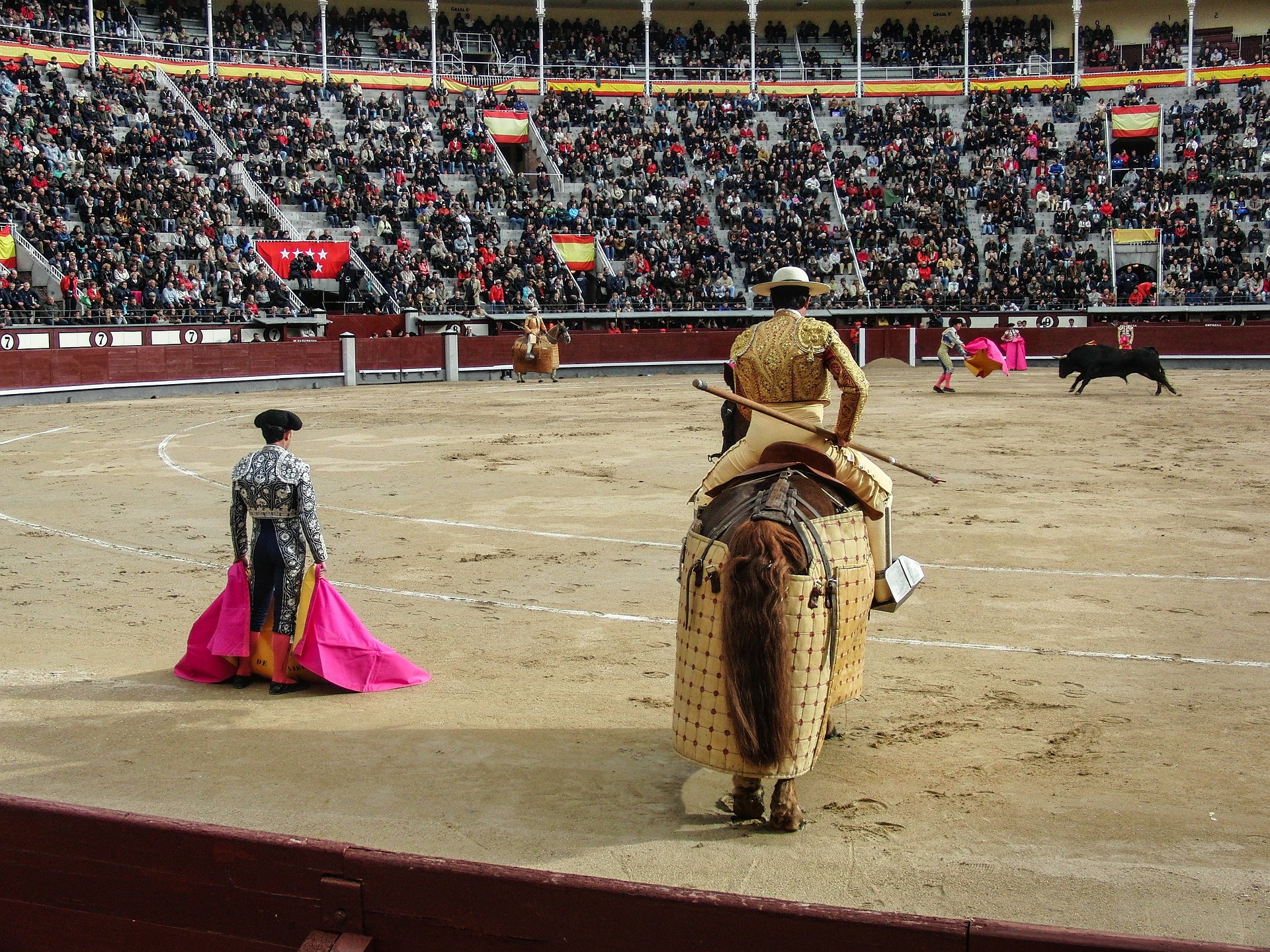 Bullfighting should be a thing of the past