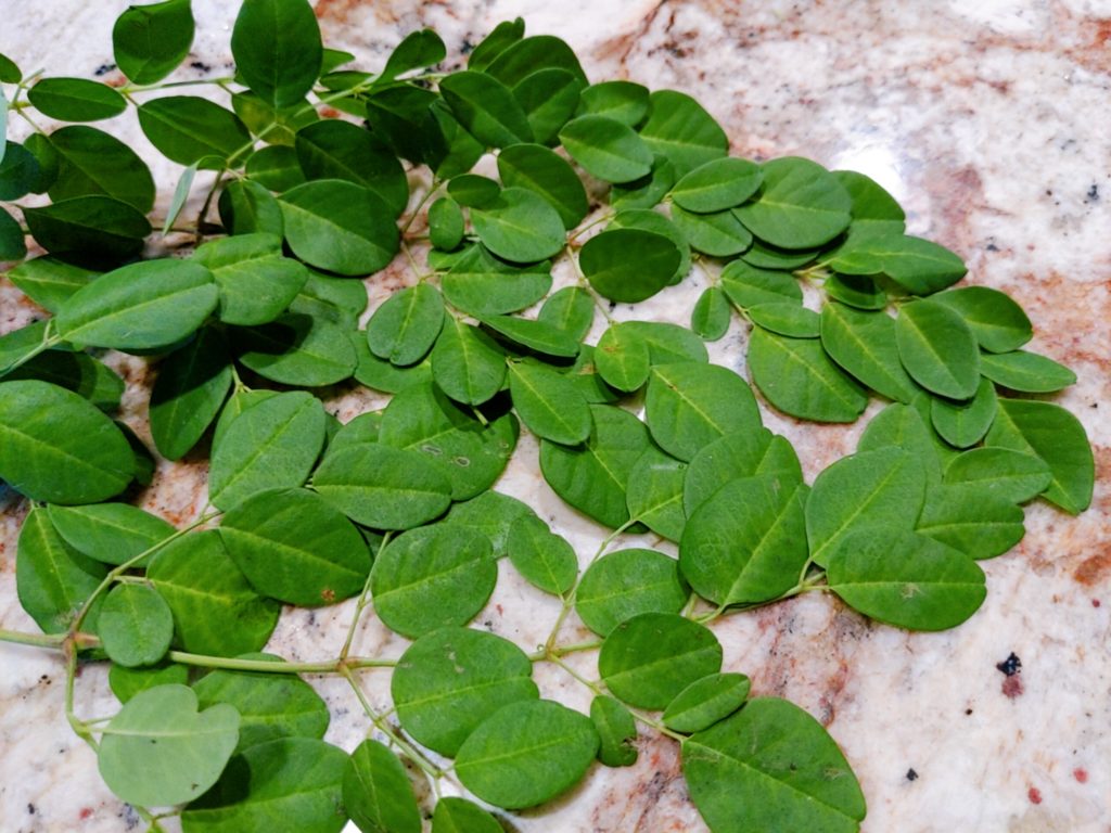 Moringa