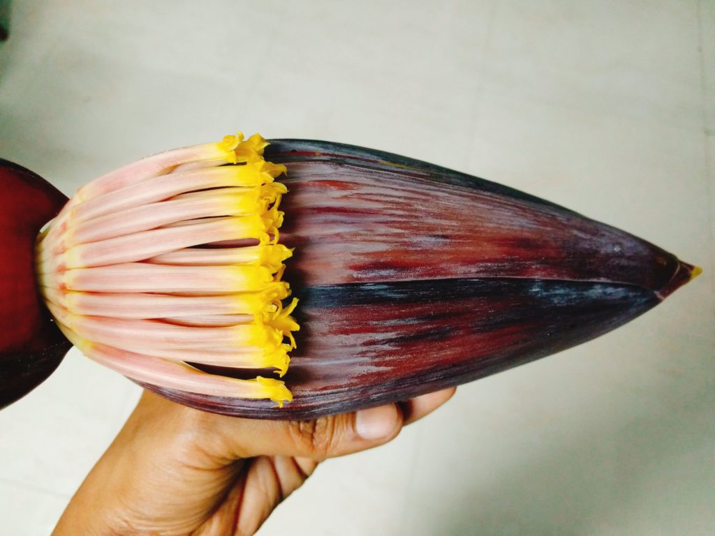 Banana flowers