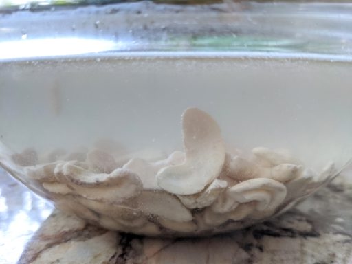Soaked cashews